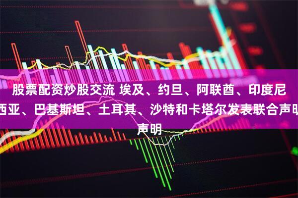 股票配资炒股交流 埃及、约旦、阿联酋、印度尼西亚、巴基斯坦、土耳其、沙特和卡塔尔发表联合声明