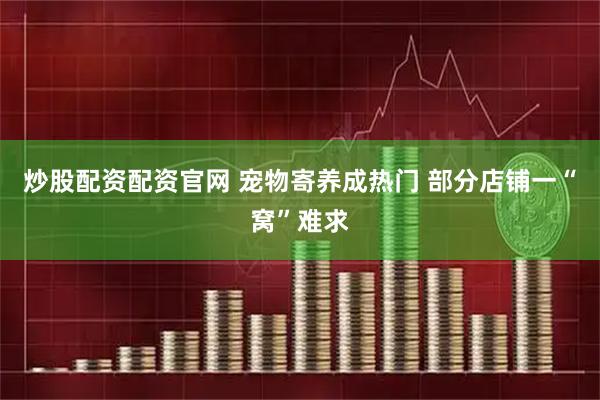 炒股配资配资官网 宠物寄养成热门 部分店铺一“窝”难求