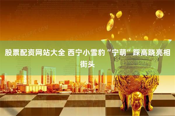 股票配资网站大全 西宁小雪豹“宁萌”踩高跷亮相街头